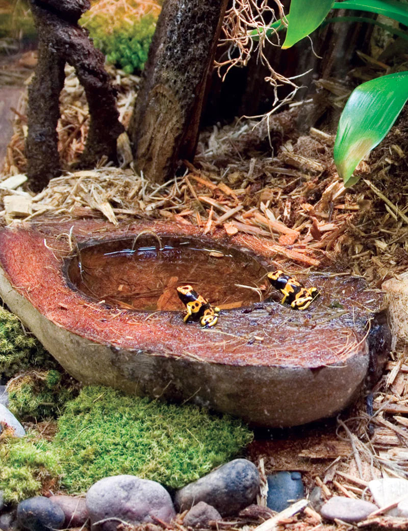 T-Rex Wetlands Bowl