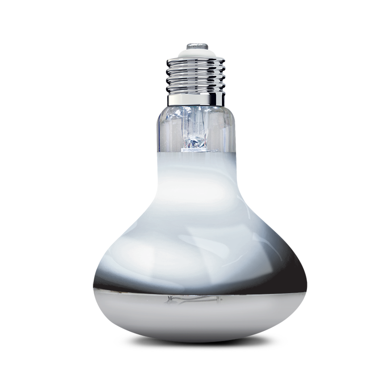 Arcadia D3 Basking Lamp