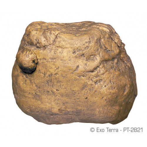 Exo-Terra Feeding Rock