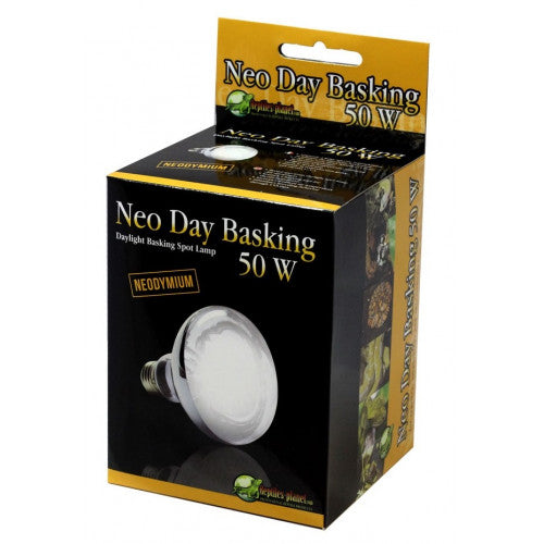 Reptiles-Planet Neo Day Basking