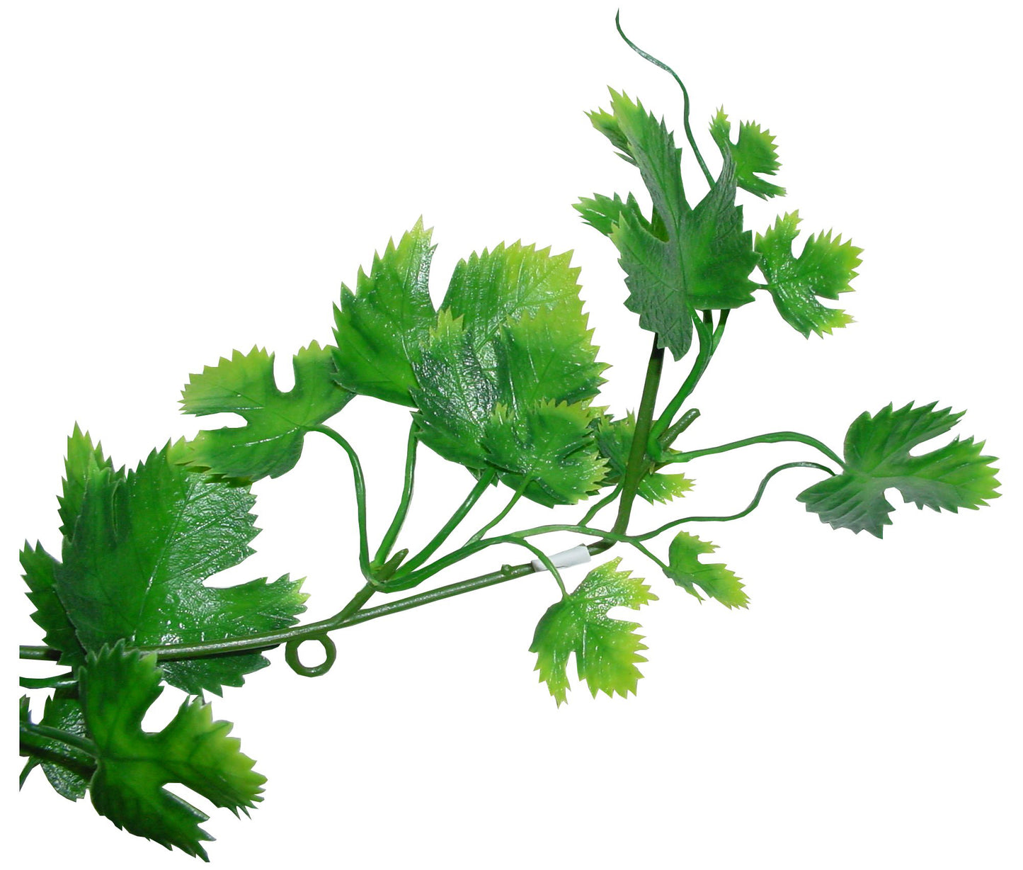Lucky Reptile Grape Leaf Vine
