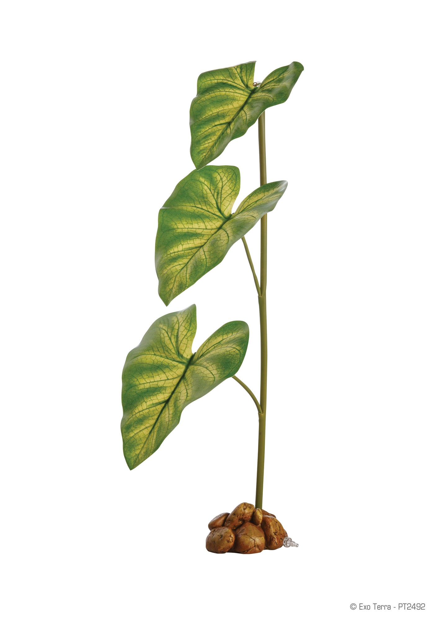 Exo-Terra Dripper Plant