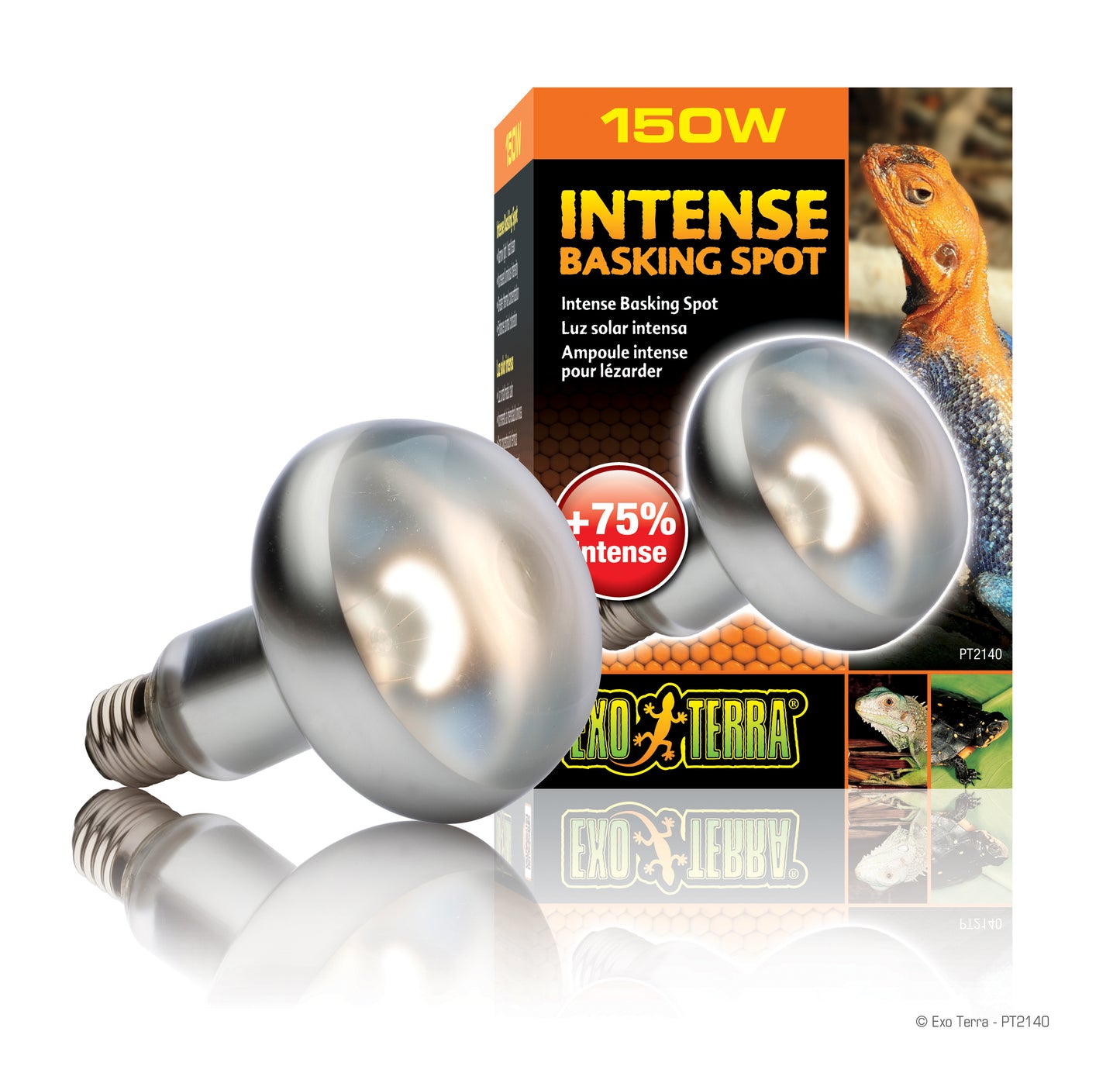 Exo-Terra Intense Basking Spot