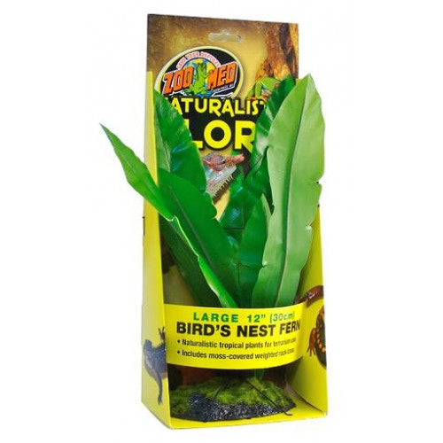 ZooMed Bird's Nest Fern