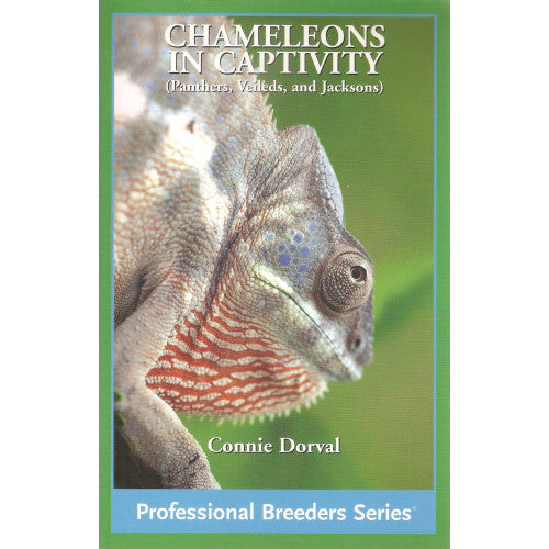 Chameleons in Captivity