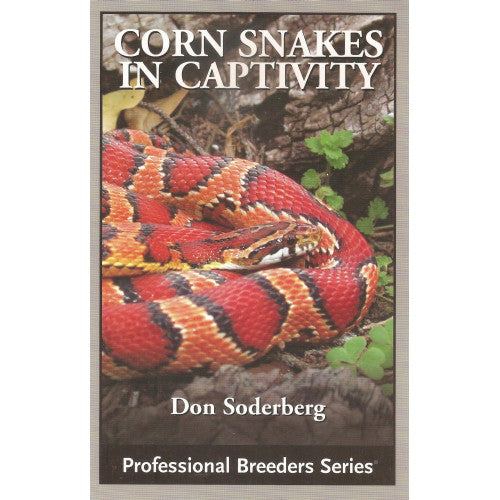 Cornsnakes in Captivity