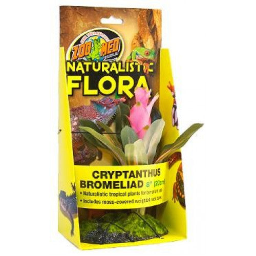 ZooMed Cryptanthus Bromeliad