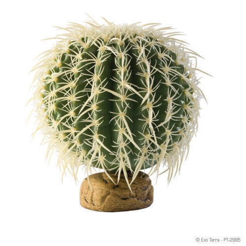 Exo-Terra Barrel Cactus