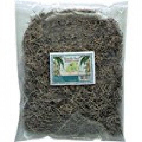 Namiba-Terra Forestmoss