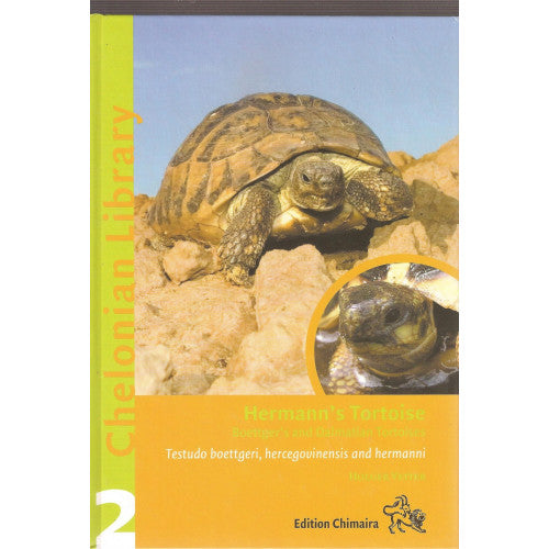 Hermann's Tortoise