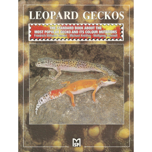 Leopard Geckos