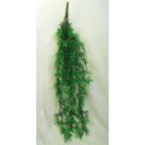 Namiba-Terra Madagascar Bambus