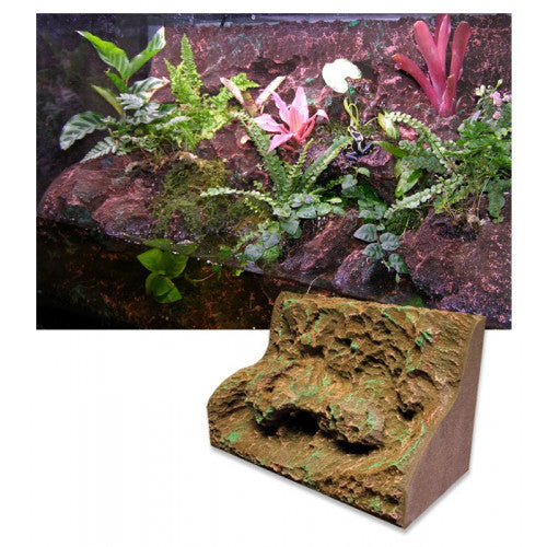 T-Rex Rainforest Rapids