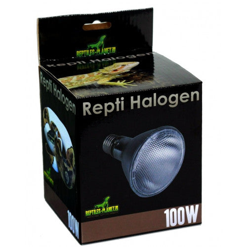 Reptiles-Planet Repti Halogen