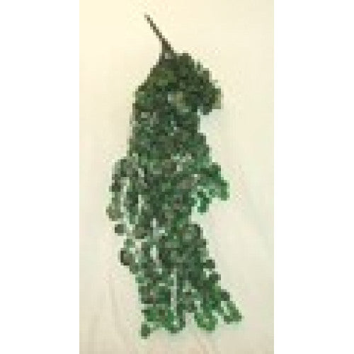 Namiba-Terra Saxifraga