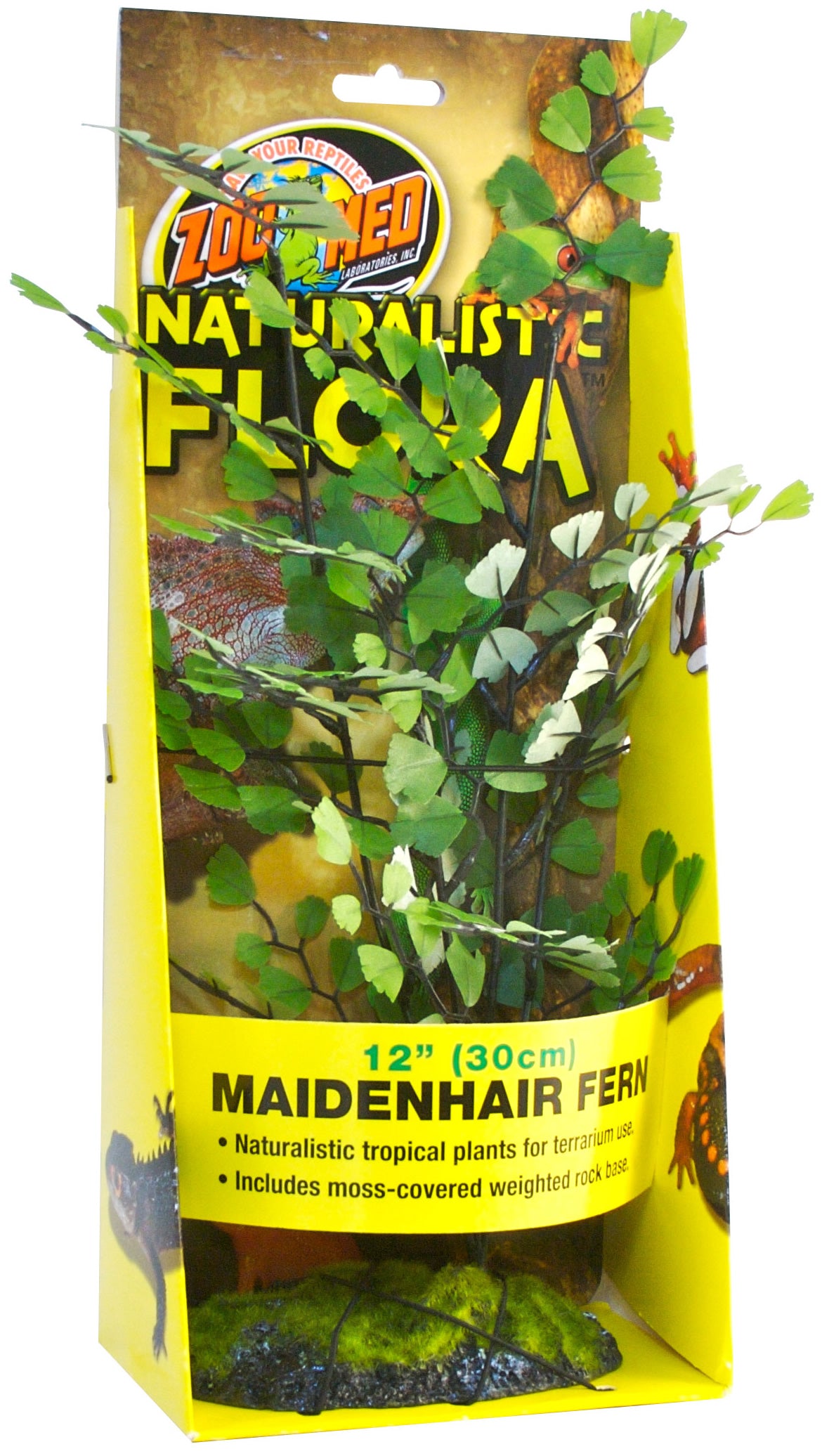 ZooMed Maidenhair Fern
