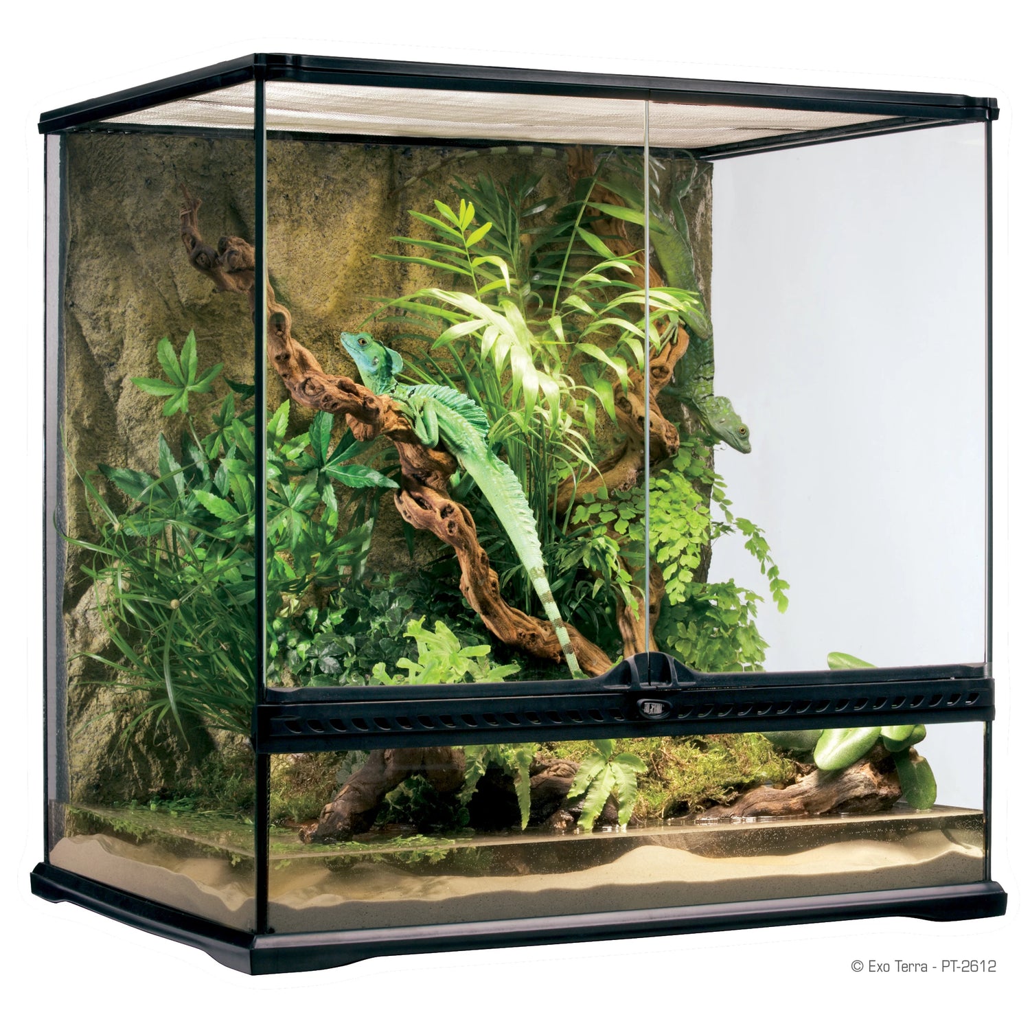 Terrarium & Tillbehör