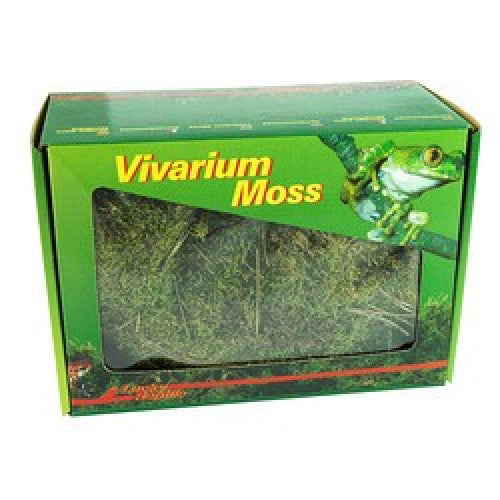 Lucky Reptile Vivarium Moss