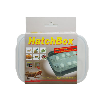 Lucky Reptile HatchBox