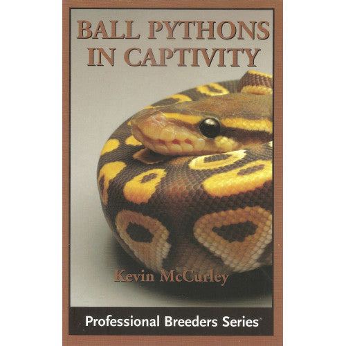 Ball Pythons In Captivity