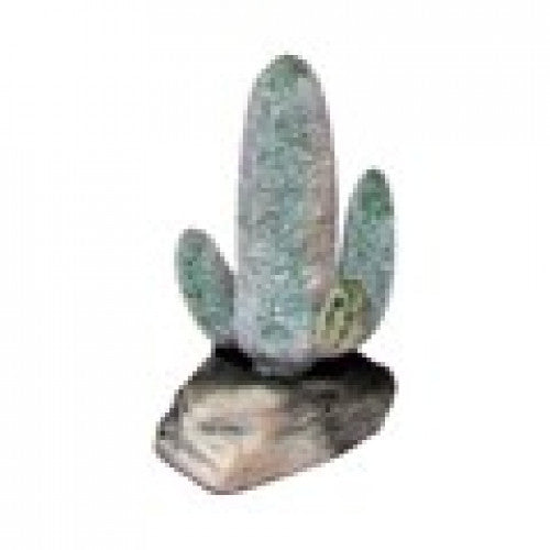 Namiba-Terra Finger Cactus