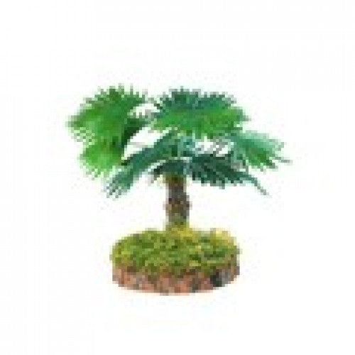 T-Rex Fan Palm Plant