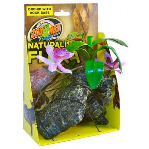 ZooMed Orchid With Rock Base