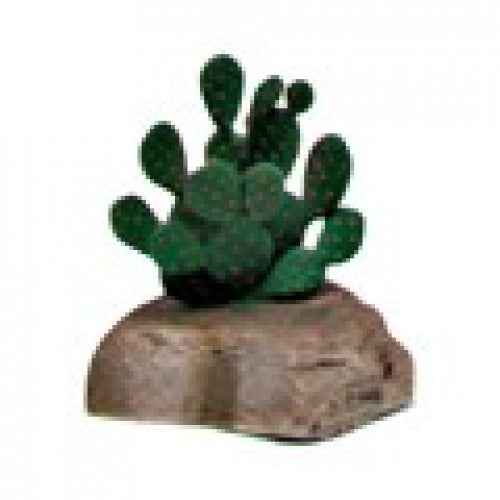 Namiba-Terra Prickly Pear Cactus